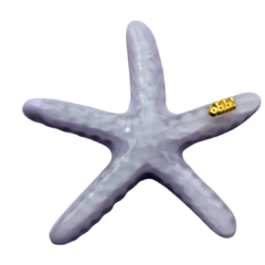 Hair Clip Estrela do Mar - comprar online