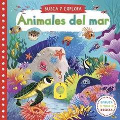 Busca Y Explora: Animales Del Mar