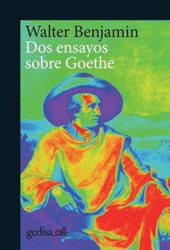 Dos ensayos sobre Goethe WALTER, BENJAMIN
