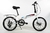 Bicicleta plegable Fire Bird R20 6v frenos a disco, cambio Shimano color negro con pie de apoyo - comprar online