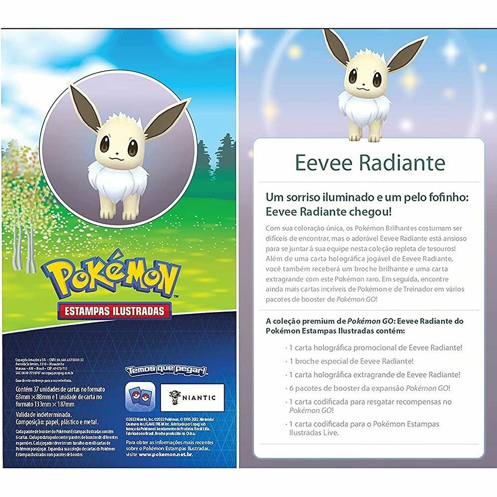Box de Cartas - Pokémon GO - Equipe Valor - Broche - 38 Cartas - Copag
