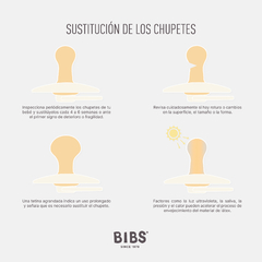 Imagen de Chupete BIBS Haze/Blossom