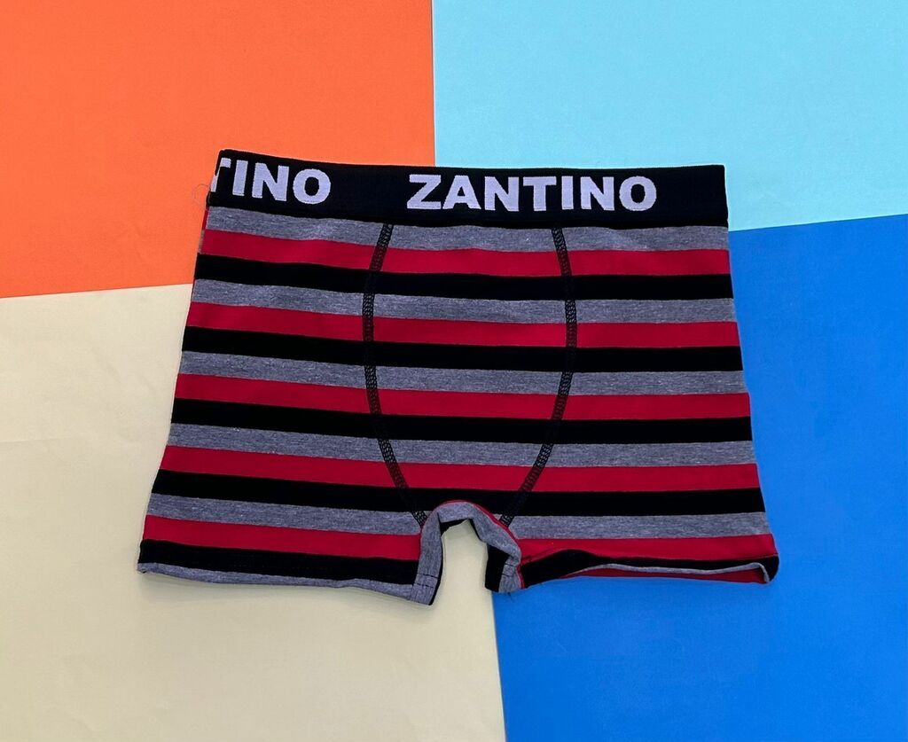 Ropa interior zantino sale