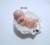 Molde de Silicone - Bebê na Concha Lado Direito 5cm