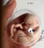 Molde de Silicone - Bebê Útero Bipartido 8cm - Biscuit da Lu