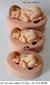 Molde de Silicone - Kit com 03 Bebês Realistas | 5cm 7cm 10cm