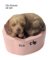 Molde de Silicone - Cão Cachorro Gd Deitado Pet Animal, Biscuit SR 0309