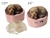Molde de Silicone - Cão Cachorro Gd Deitado Pet Animal, Biscuit SR 0309 - comprar online
