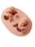 Molde de Silicone - Kit 02 Bebês Útero Recém nascido - 4cm cada - Biscuit - comprar online