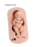 Molde de Silicone - Bebê Baby Lu com Chupeta - comprar online