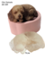 Molde de Silicone - Cão Cachorro Gd Deitado Pet Animal, Biscuit SR 0309 na internet