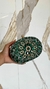 Imagem do Clutch Pedraria Oval Bolsa De Festa Verde