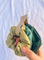 Scrunchies - Pack Green - comprar online