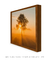 Quadro Decorativo Árvore entre Raios Solares na internet