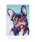 Quadro Decorativo Buldogue Francês - comprar online