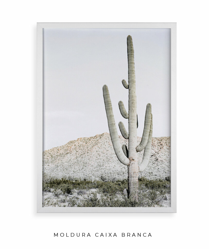 Quadro Decorativo Cactos no Deserto - Oferta de Quadro Preto e Branco - Rei  do Azulejo