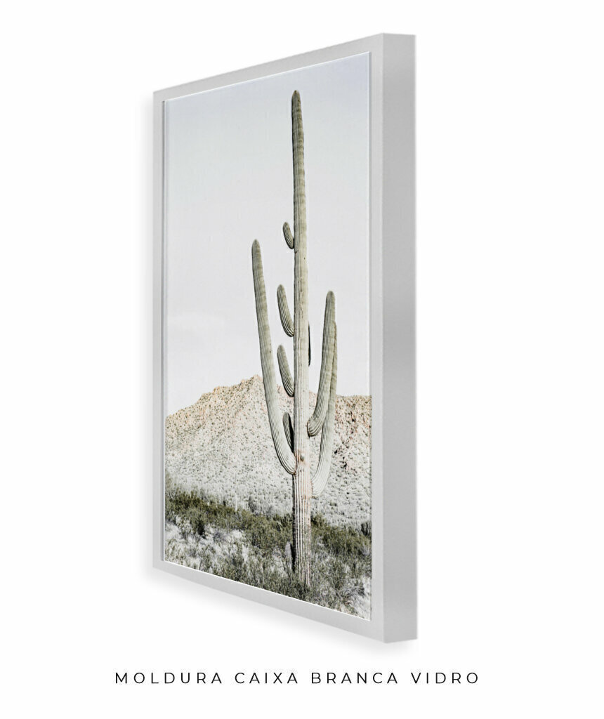 Cactaceae, Saguaro, Deserto png transparente grátis