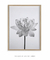 Quadro Decorativo Flor de Lótus - comprar online