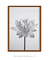 Quadro Decorativo Flor de Lótus - comprar online