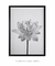 Quadro Decorativo Flor de Lótus na internet