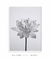 Quadro Decorativo Flor de Lótus - loja online