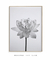 Quadro Decorativo Flor de Lótus - comprar online