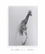 Imagem do Quadro Decorativo Girafa Minimalista