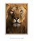 Quadro Decorativo Leão Castanho em Foco na internet