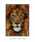 Quadro Decorativo Leão Colors - loja online