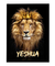 Quadro Decorativo Leão Yeshua