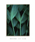 Quadro Decorativo Leaves - comprar online