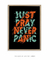 Quadro Decorativo Never Panic - comprar online