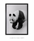 Quadro Decorativo Panda Minimalista - loja online