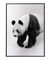 Quadro Decorativo Panda Minimalista