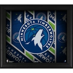 Banner da categoria Minnesota Timberwolves 