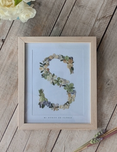 Cuadro botánico con inicial • letra "S"