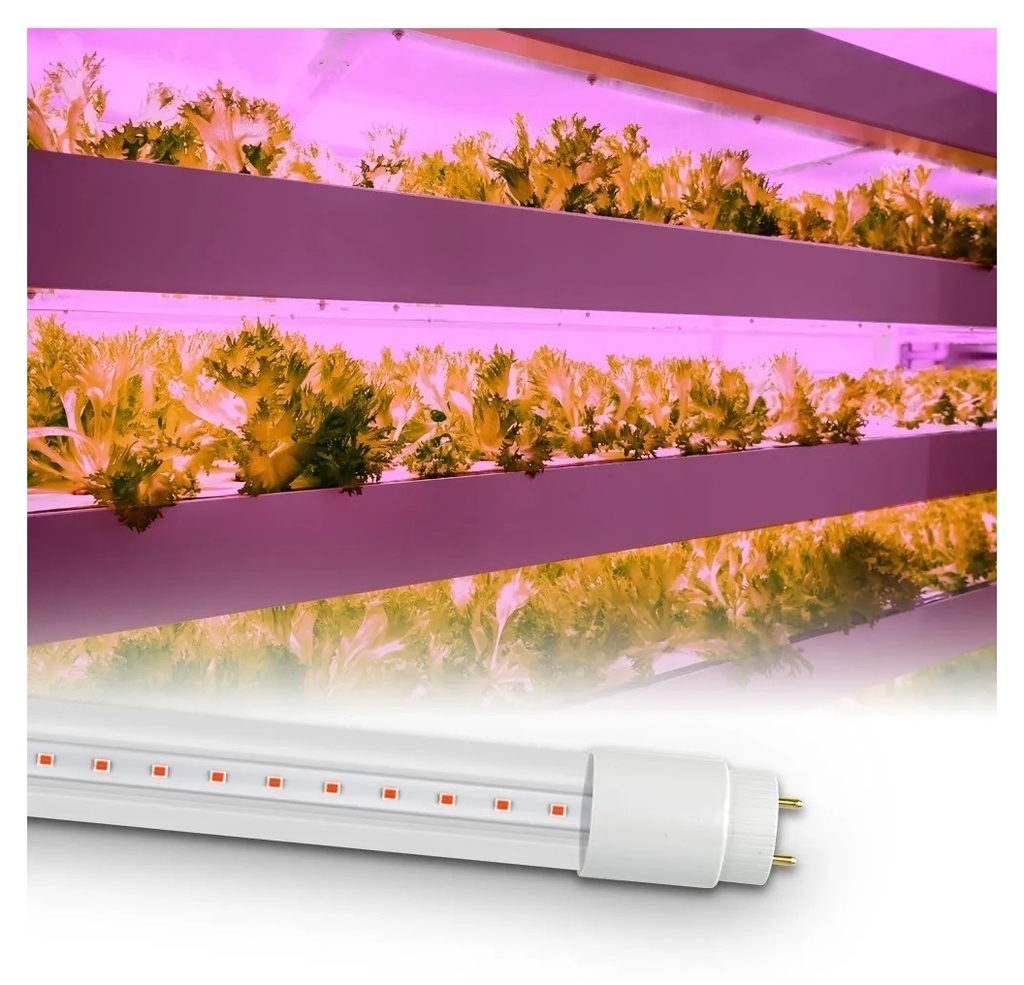 Tubo LED cultivo