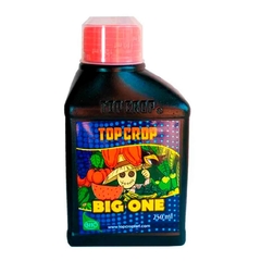 Big One Top Crop Fertilizante de floración 250 ml