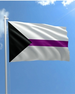 Bandera Demisexual