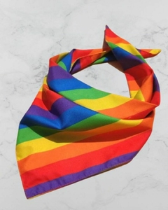 Kit LGBTIQ+ en internet
