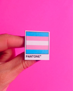 Pin Pantone Trans