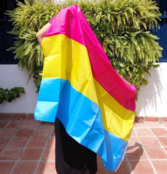 Bandera Pansexual en internet