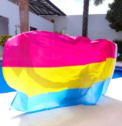 Bandera Pansexual - comprar online