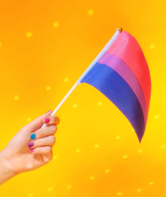 Banderita Bisexual
