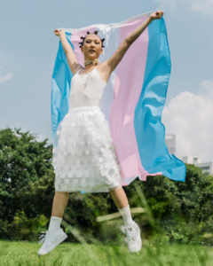 Bandera Transexual - comprar online