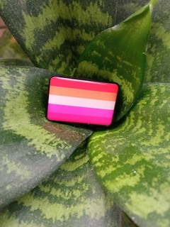 Pin Bandera Lésbica en internet