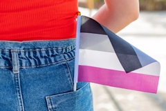 Banderita Asexual - comprar online