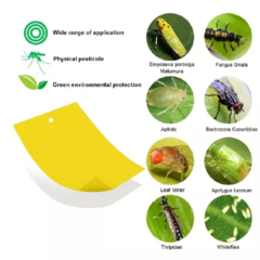 Placa Trampa Adhesiva Mata Atrapa Insectos Cromatica Repelen en internet