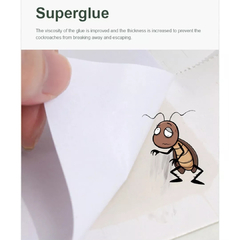 Trampa Adhesiva Ecológica Cucaracha Insecto Sin Olor 6 Hojas en internet