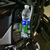 Acessorios para scooter motocicleta bicicleta garrafa de agua suporte de copo de bebida gaiolas de montagem para benelli tnt 125 135 300 trk 502 bn302 bj250 - loja online